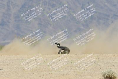 media/Apr-20-2025-CVMA (Sun) [[39090e8767]]/Race 15-Amateur Formula Middleweight/